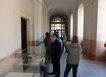 IMG_9831_original