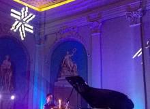 WP_20200815_20_15_29_Pro_original