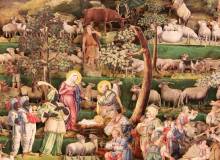 IMG_530120Koprovat_original