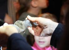 IMG_7564_original