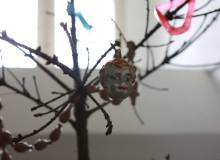 IMG_6392_original