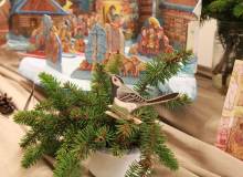 IMG_6700_original