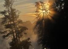 IMG_5279_original
